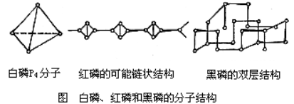 磷的同素异形体(图1)